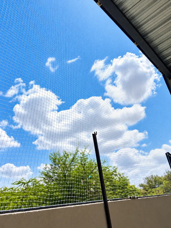 Commercial and residential bird netting in Gujarat
